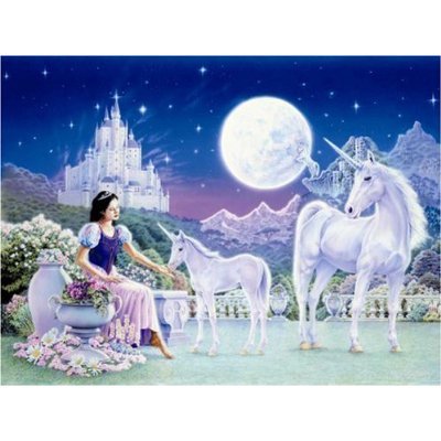 Childrens Toyshop  Toys : Unicorn Princess