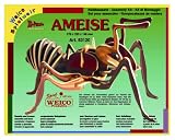 Eigenschaften Weico GmbH 83120 / Weico 83120 - Holzbausatz: Ameise 3D bunt