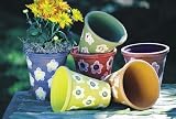 Set of Six Flower Clay Pots