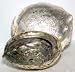 Incense Burner Abalone Shell Large