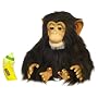 Furreal Friends Cuddle Chimp