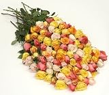 Send Fresh Cut Flowers - 100 Long Stem Assorted Roses