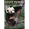 For Panda Fanatics