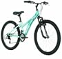 Diamondback Tess 24 Jr Girls' Mountain Bike (24-Inch Wheels)