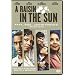 A Raisin in the Sun