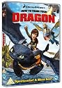 How To Train Your Dragon [DVD]