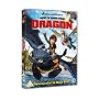 How To Train Your Dragon [DVD]