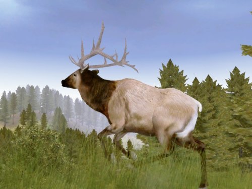 Cabela's Legendary Adventures image