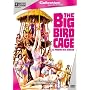 The big bird cage