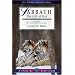 Sabbath: The Gift of Rest (Lifeguide Bible Studies)