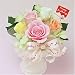 ŷ�Ȥ��Ϥ����«������󥸡ڥϥåԡ��С����ǡ��ۥѥ��ƥ롧 �ѥ��ƥ륫�顼�ǥХ�󥹤褯����󥸤��ޤ����� ��Ź�������õ����������������������Ѥ��ȤƤ⤫�襤�餷���ž夬�äƤ��ޤ������������Ȥϡ��õ���������������������Ѥˤ�ꡢ�����ʥХ�κ餭����ɽ����...