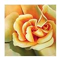 Caitlyn 1009 Original Hand-Painted Oil on Canvas by Carl Sebastian- 32x32"
