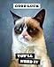 Grumpy Cat Notecards: 20 Notecards & Envelopes