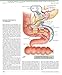 The Netter Collection of Medical Illustrations: The Endocrine System: Volume 2 (Netter Green Book Collection)