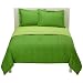 Lime Dot Comforter Set - Twin/Twin XL