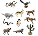 Safari Ltd Desert TOOB, Pack of 11