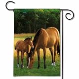 Morning Graze