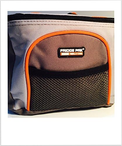 Fully Insulated Lunch Bag/Cooler by Fridge Pak