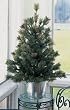 2.5' Potted Mixed Cashmere Pine Pre-Lit Artificial Christmas Tree #H89082