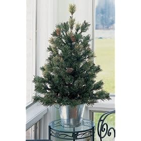 2.5' Potted Mixed Cashmere Pine Pre-Lit Artificial Christmas Tree #H89082