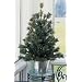 2.5' Potted Mixed Cashmere Pine Pre-Lit Artificial Christmas Tree #H89082