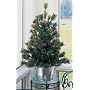 2.5' Potted Mixed Cashmere Pine Pre-Lit Artificial Christmas Tree #H89082