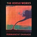 Permanent Damage