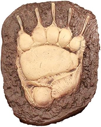 Grizzly Bear Track 14" Front Paw Cast from Life Saber Sharp Claws Hand Cast Brown Bear Montana USA