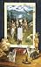 Wolf and Indian Mystery Decorative Switchplate Cover