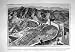 1908 人の万里の長城の中国明王朝の野蛮人モンゴル 1908 人の万里の長城の中国明王朝の野蛮人モンゴル