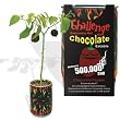 Chocolate Habanero Pepper - All-included-planter-kit . Just Add Water.