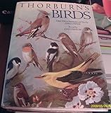 Thorburn's birds