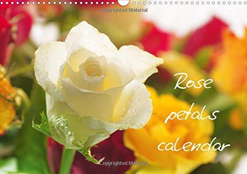 Rose Petals Calendar Great Britain 2017: A Calendar Can be Seen in the Beauty and Variety of Roses (Calvendo Nature)