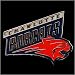 Charlotte Bobcats Team Logo Pin