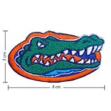 Florida Gators Logo Embroidered Iron on Patches From Thailand