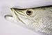 Replica Snook Ocean Coastal Fly Fishing Wall Decor