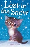 Lost in the snow