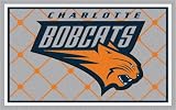 Charlotte Bobcats 5'x8' Rug 5X8 Floor Mat (Rug)