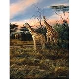 Trevor Swanson Giraffes at the Waterhole Jigsaw Puzzle 500pc