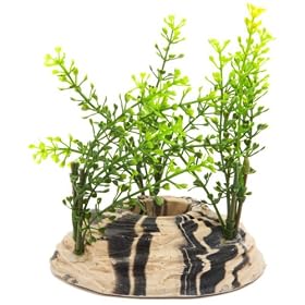 biOrb Plant Ring Small (Baby or Larger)