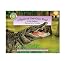 Alligator at Saw Grass Road (Smithsonian Backyard) (Smithsonian Backyard)