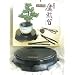 Joshua Roth Bonsai Turntable