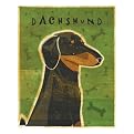 Dachshund (black and tan) framed print - John Golden 12x15
