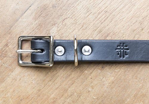 THRUX LAWRENCE - Waterproof Horween Leather Dog Collar - Black with Stainless Steel - Medium