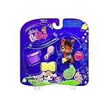 Littlest Pet Shop Arabian Pony Horse # 627 with sports accessories? R 51hG YGeeZL. SL160 Littlest Pet Shop Arabian Pony Horse # 627 with sports accessories? R