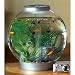 biOrb Classic Kaltwasser Komplett-Aquarium 30L – schwarz