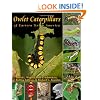 Owlet Caterpillars of Eastern North America