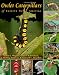 Owlet Caterpillars of Eastern North America at Amazon Books: 51hGBGb4yAL._SL75_