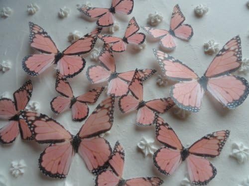 12 LIGHT ORANGE CORAL PEACH MONARCH BUTTERFLY Small Medium &amp; Large Edible Butterflies Assorted Set - Cake Decorations, Cupcake Topper for Weddings Birthdays Anniversaries Baby Showers