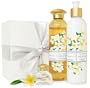 Terra Nova Plumeria Gift Box